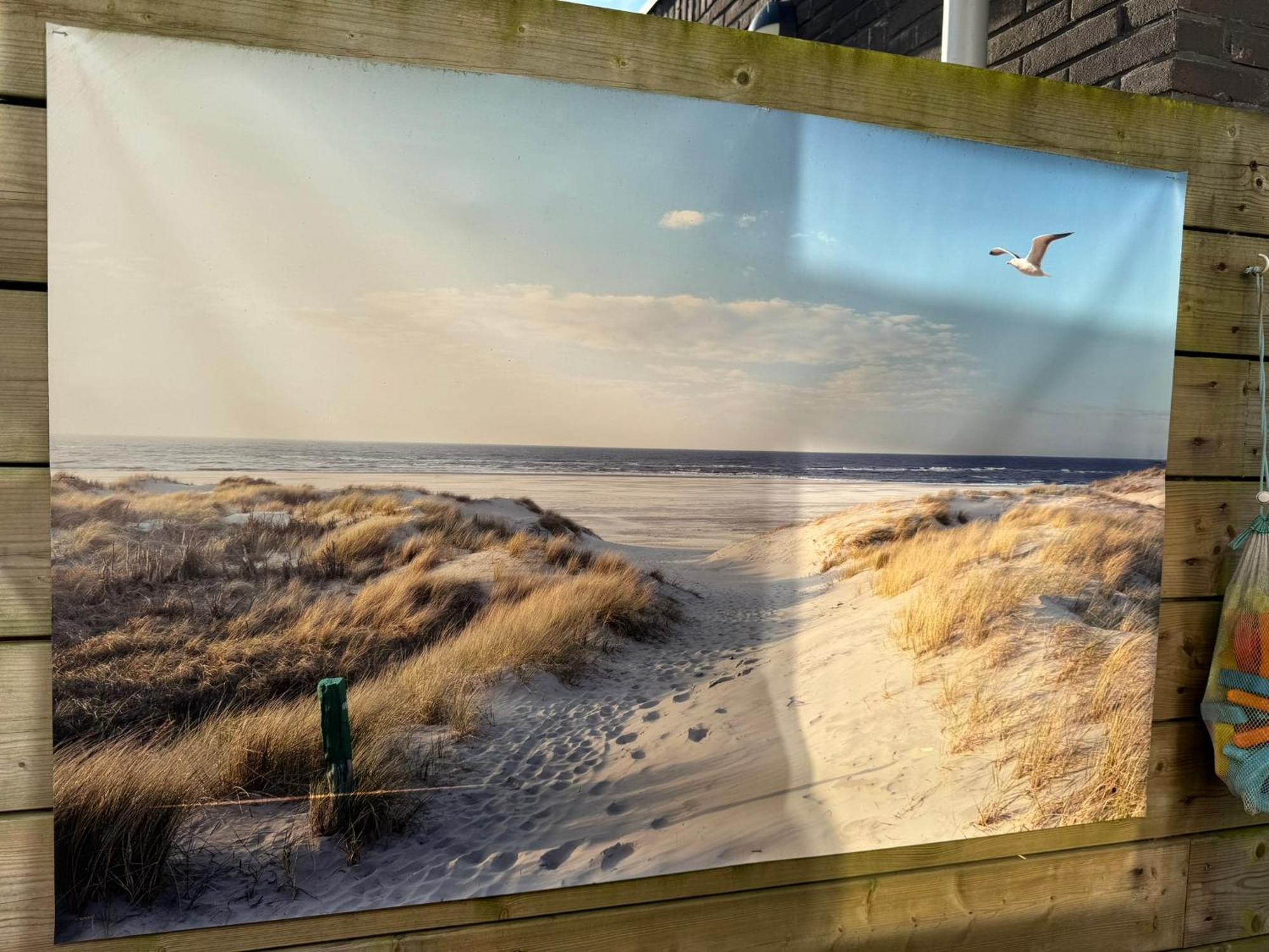 Coastal Dreaming Villa Egmond aan Zee Eksteriør bilde